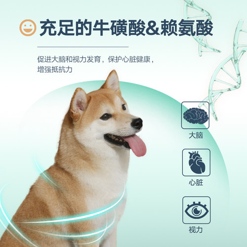 Joyzone久生狗粮营养成犬粮通用型全价无谷泰迪比熊博美金毛柯基
