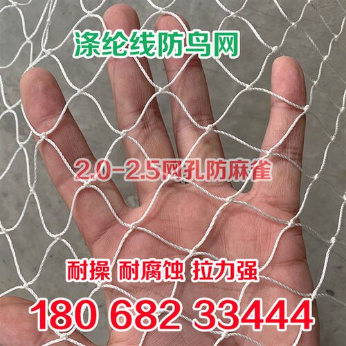 涤纶线防鸟网草莓大棚果树樱桃葡萄果园防鸟用鱼塘牛蛙轮胎线天网
