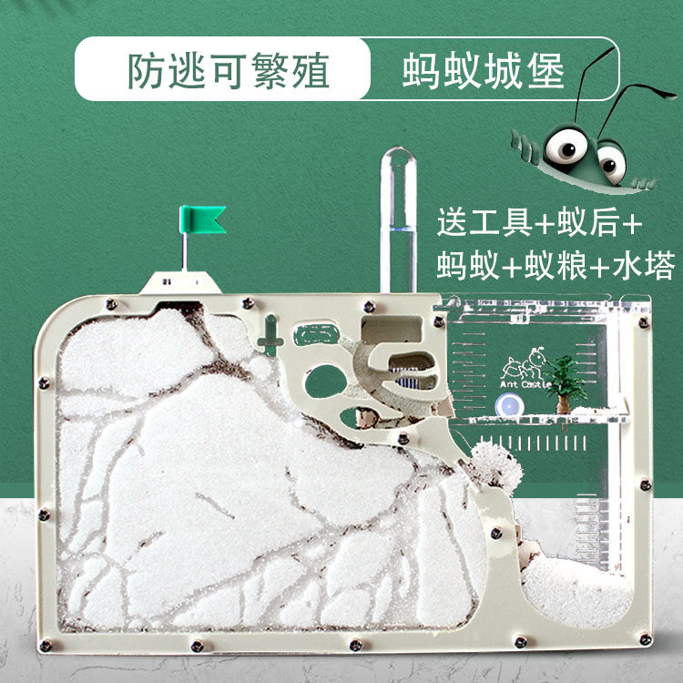 蚂蚁笼子屋沙巢养蚂蚁工坊新型宠物生态箱白色巢蚂蚁城堡窝双蚁后