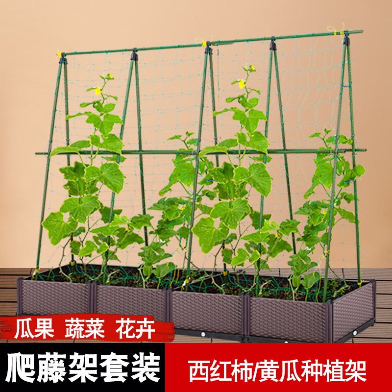 菜园蔬菜爬藤架网植物种植攀爬支架杆种菜丝瓜黄瓜豆角架园艺架子图片