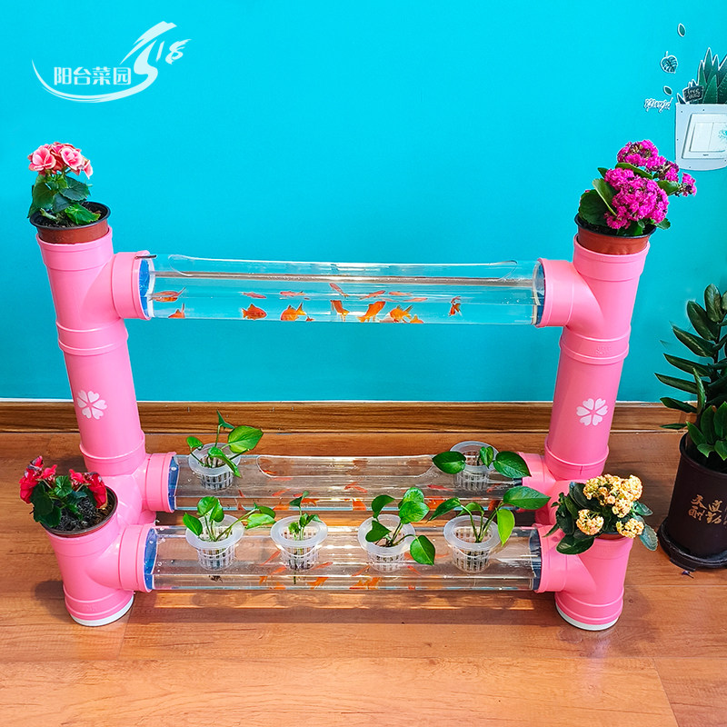 创意鱼缸幼儿园植物角水培植物架养鱼水管透明管养殖小鱼