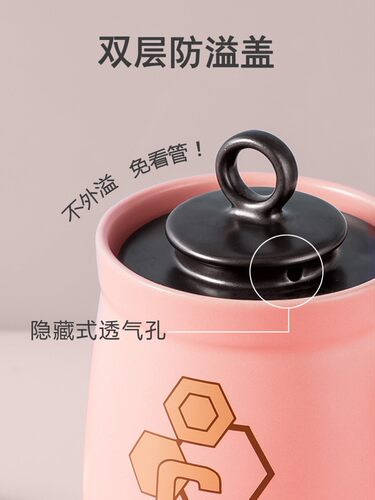 多功能小养生杯电炖杯办公室全自动煮粥2人量家用分体快速炖汤杯