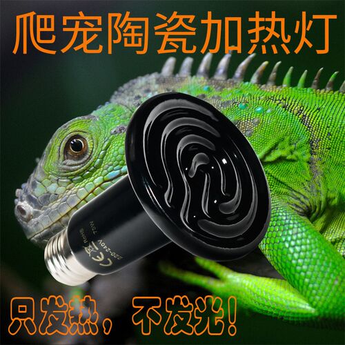 加热灯陶瓷灯保温灯爬宠灯不带彩35W可调节热带蛙龟蛇鬃狮发热灯
