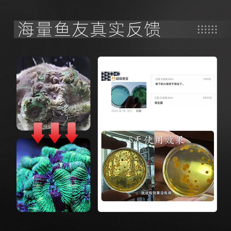 粤海灭弧菌珊瑚细菌感染布朗冻海水鱼缸水质优化 鱼只状态调理