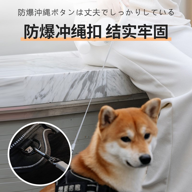 诺凡尔狗狗牵引绳伸缩链子小型犬中型犬泰迪柯基金毛宠物外出神器