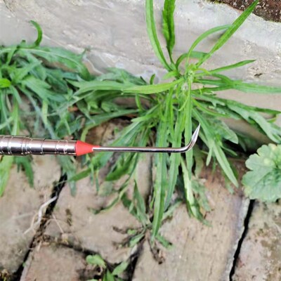 蒜钩子钩蒜苗钩子钩蒜神器挑蒜神器地膜出苗蒜农工具
