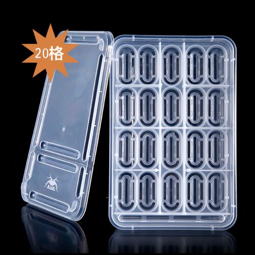 掌上名蛛爬宠孵化盒孵化器蛋托守宫鬃狮蜥玩具蛇孵蛋器乌龟孵化器