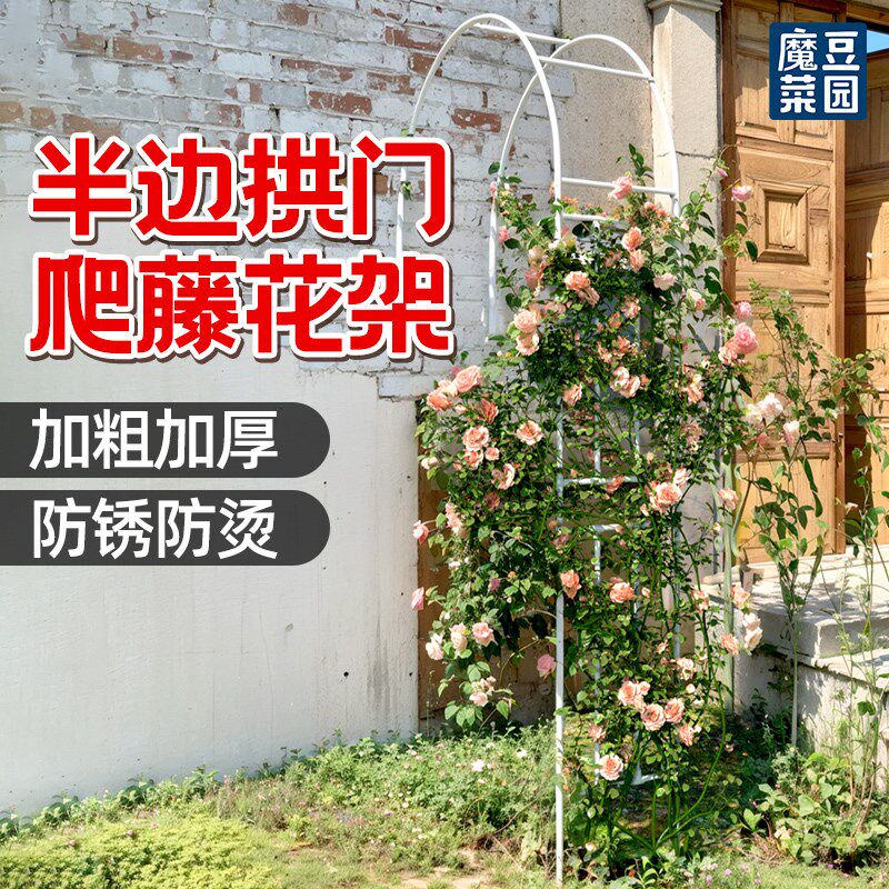 半边拱门花架爬藤架园艺藤本月季葡萄架拱形架子支撑攀爬支架庭院