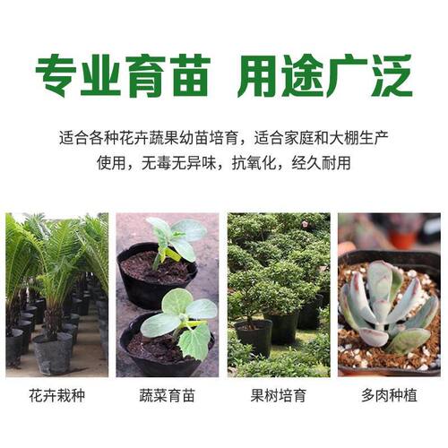 育苗营养杯育苗袋大号一次性花盆黑色种植塑料育苗杯育苗盆营养钵