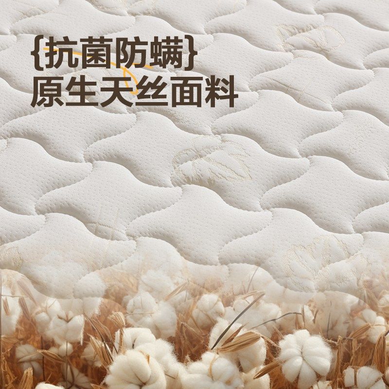 3e环保椰棕床垫家用卧室软乳胶天然加硬护腰脊10厘米定制任意尺寸