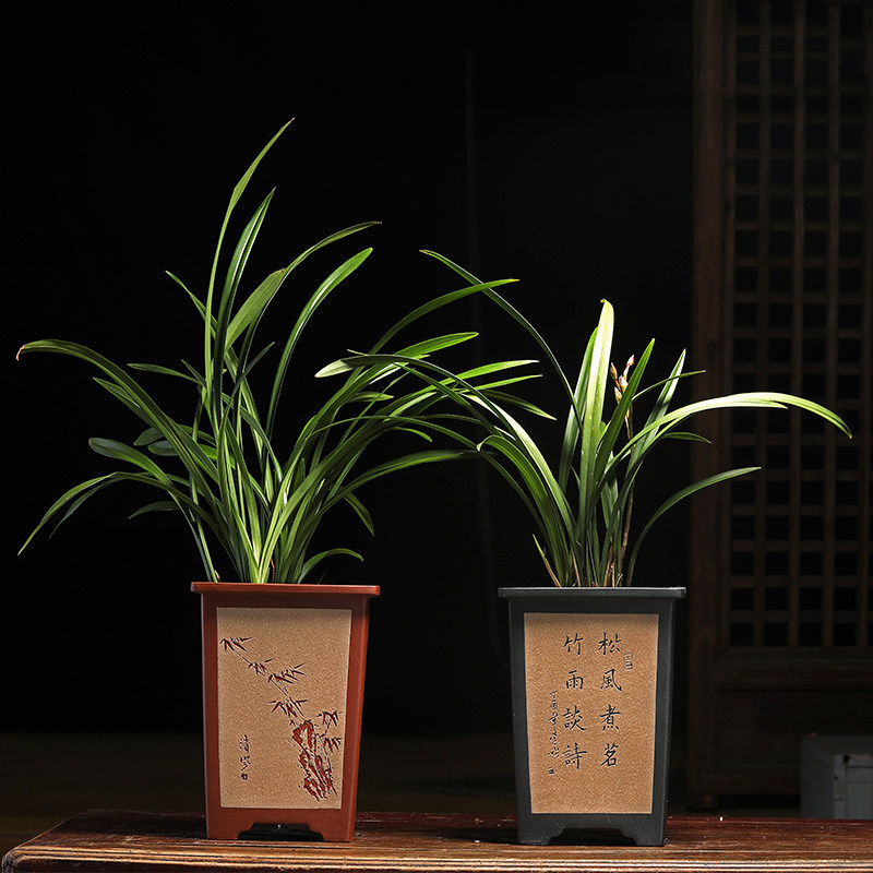 精品紫砂花盆宜兴兰花专用盆办公桌面手工四方兰花盆李超紫砂花盆