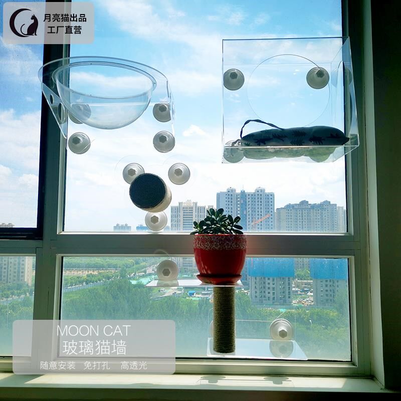 亚克力透明猫窝太空舱吸盘猫爬架墙壁爬梯窗户猫跳台不占地猫窝