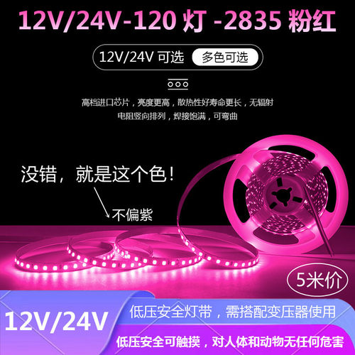 LED12V/24V超亮粉色灯带24V户外防水粉红色灯带12V自粘线形灯带条