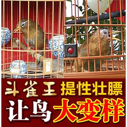 斗雀王 秘制画眉鸟食饲料提性壮膘手工2号打彩斗鸟料唱鸟包邮500g
