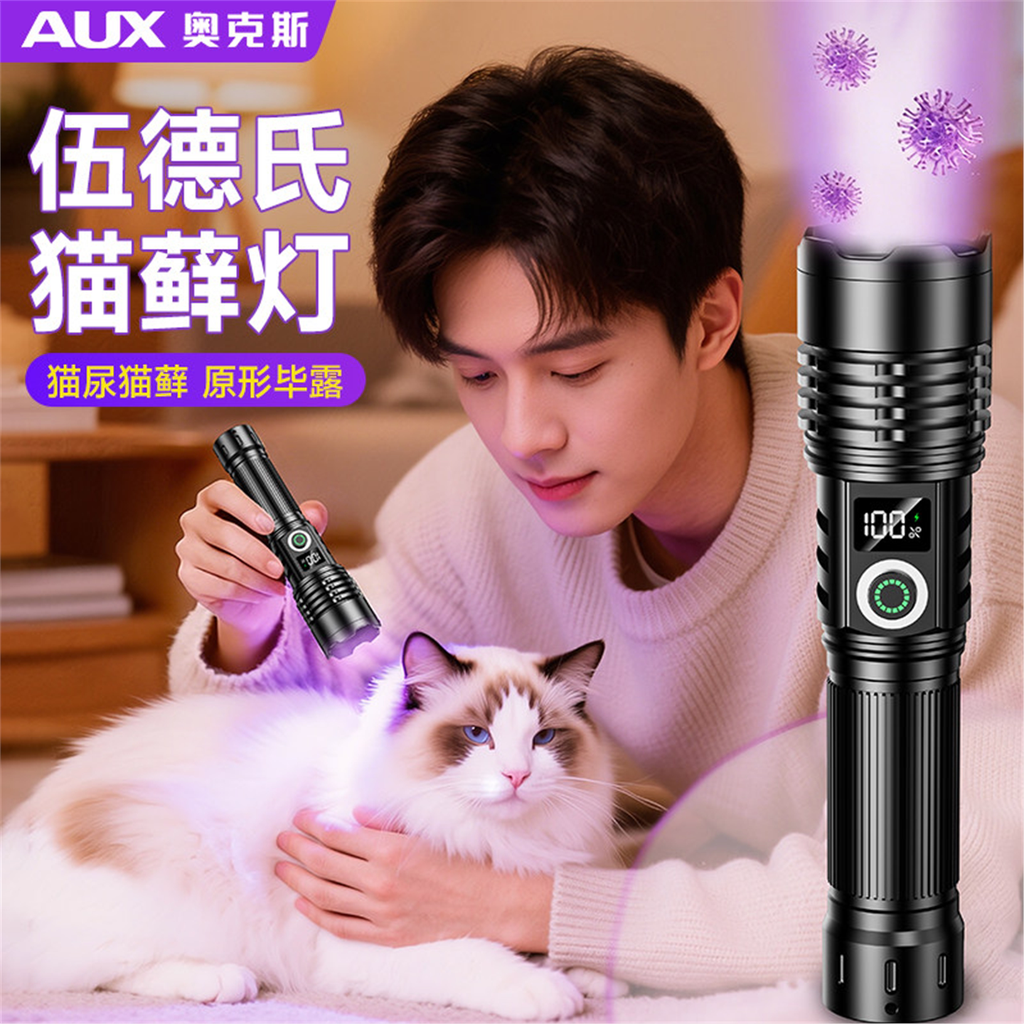 奥克斯伍德氏猫藓荧光反应手电筒图片