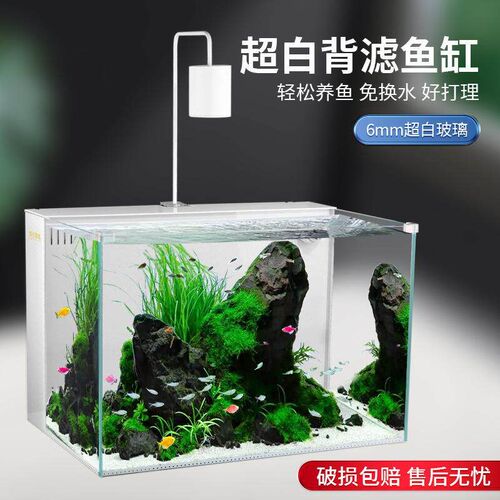 白背滤鱼缸客厅生态养鱼桌面缸604040免换水懒人造景自循环水草缸