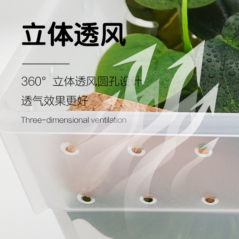 睫角R属守宫爬宠入门版饲养盒树晰进阶版饲养箱套装景观环境布置