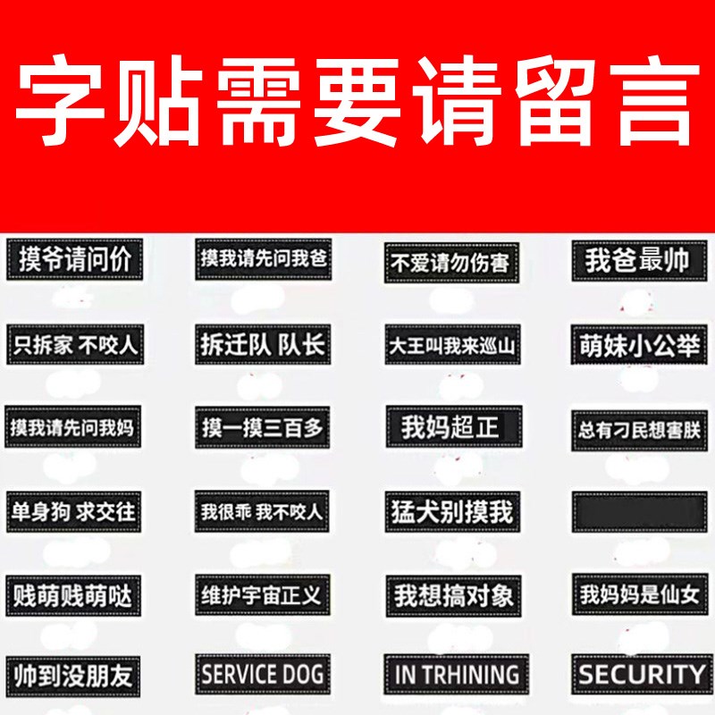 LED夜晚发光灯狗狗牵引绳小中大型犬防爆冲胸背带透气可调节背心