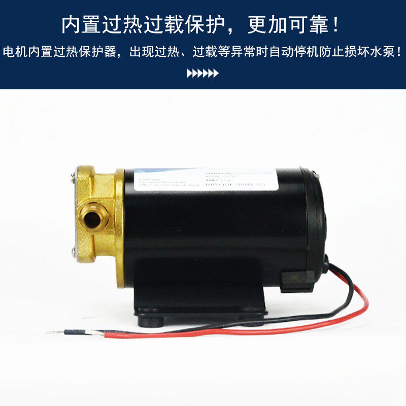 FP-12 12v24V直流齿轮油泵加油泵自吸泵柴油泵吸油泵微型抽油泵