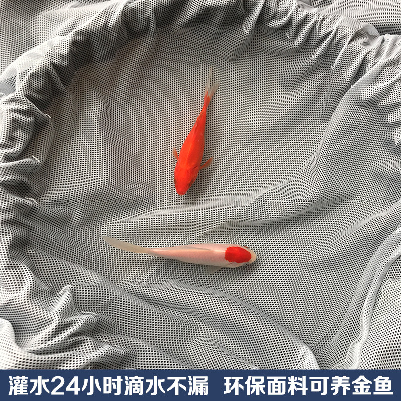 雨衣雨裤分体套装男女士成人双层加厚电动摩托车外卖骑手防暴雨水