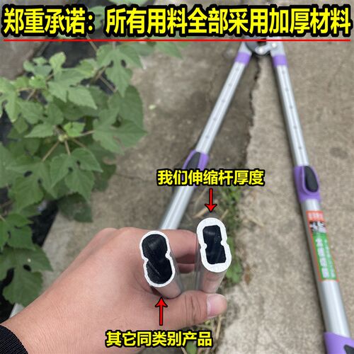 剪树枝专用大剪刀果树粗枝修剪专用伸缩省力大力修枝剪葡萄花桃树