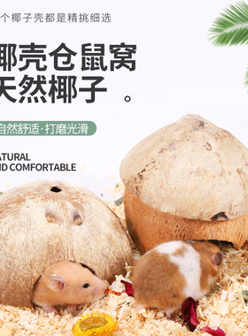 仓鼠椰子壳花枝鼠金丝熊保暖造景躲避屋玩具小窝四季通用房子用品