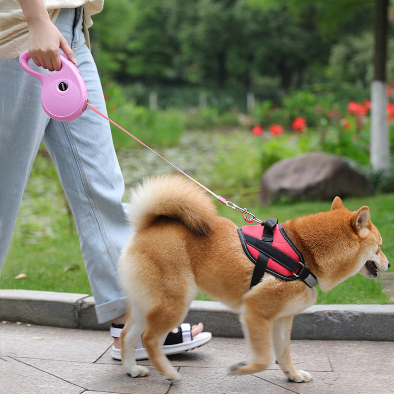 狗狗用品简单调节大狗牵引绳大型犬金毛加长自动牵引带外出狗绳子