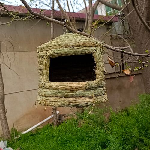 草编鸟窝鸟巢麻雀稻草窝户外田园躲避繁殖保暖睡觉悬挂式树上阳台