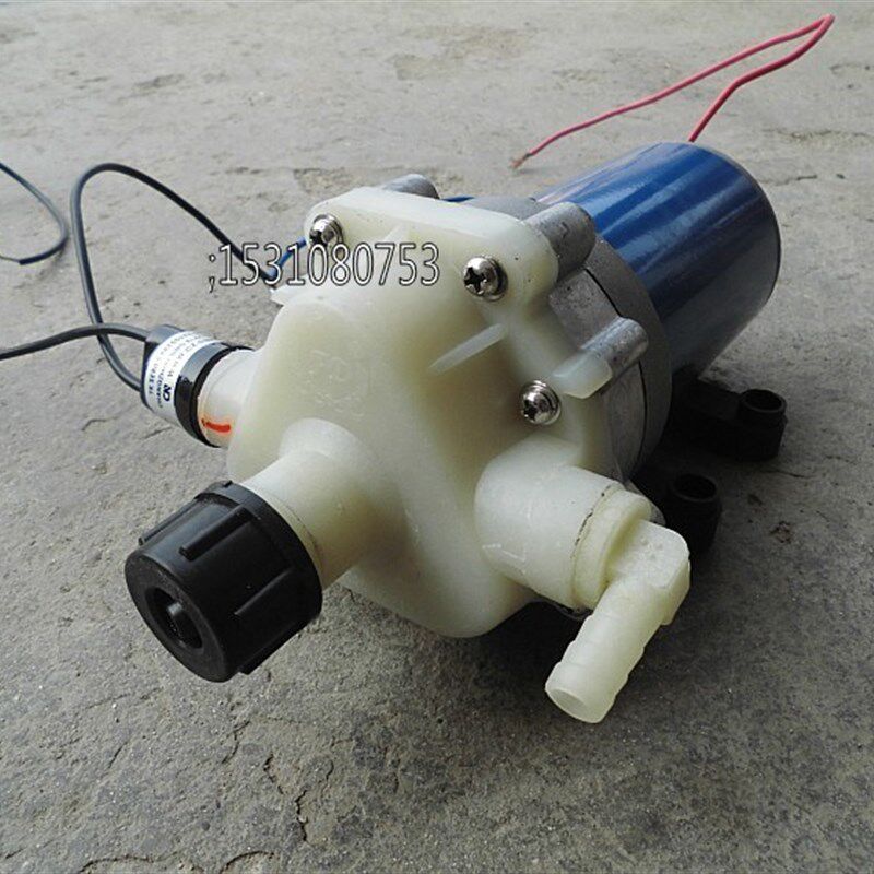 12V2800隔膜泵电动打药机洗车泵车载洗车器带压力开关喷雾水泵