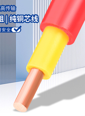 金联宇国标阻燃BVV家用电线1 1.5 2.5 4 6平方单股纯铜芯家装硬线