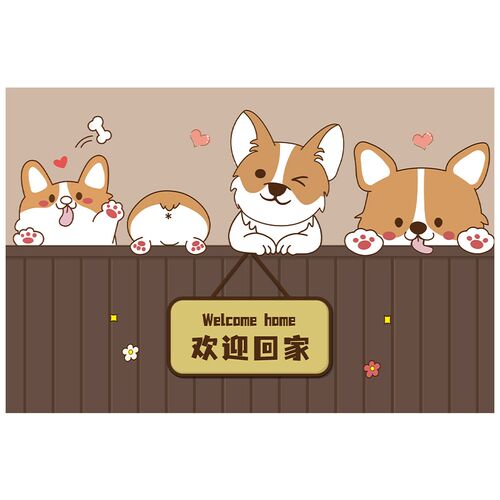 皮革入户门地垫大门口防滑脚垫进门门垫家用玄关地毯可擦免洗pvc