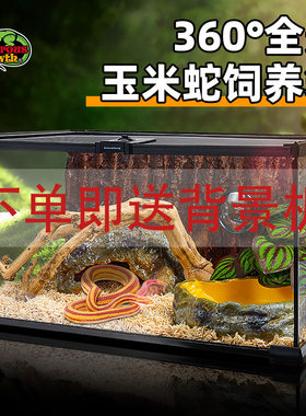 BG超白玻璃成体宠物蛇饲养箱爬宠饲养缸养蛇专用雨林造景生态缸