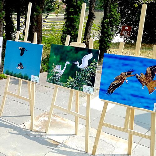 画架展示架kt板支架迎宾牌木架展示架kt板展示架海报摆摊木架广告