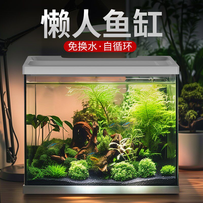 佳璐小型鱼缸玻璃家用客厅办公室桌面生态懒人免换水金鱼缸水族箱