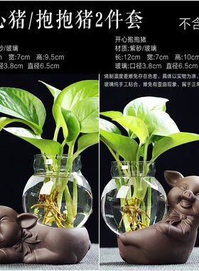 2019猪年摆件迷你小花瓶玻璃透明水培养绿萝创意家居陶瓷装饰品