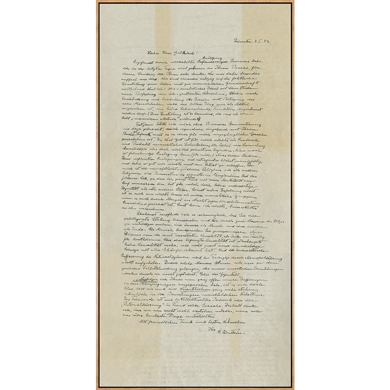 网红客厅手稿过道画玄关装饰画爱因斯坦壁画挂画大幅竖式竖版落地