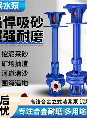 人民WSL立式渣浆泵高铬合金耐磨液下强力吸沙泵河道排污清淤泥泵