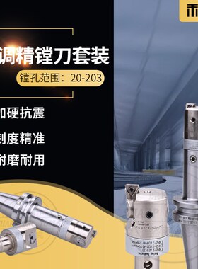 BT30-EWN数控镗刀组合可调式精镗头微精调头套装加长刀杆刀柄镗孔