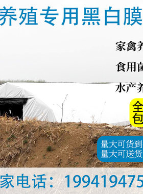 黑白膜鱼塘防渗膜大棚降温反光食用菌养殖养鸡隔热遮阴阻燃绿白膜