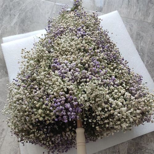 diy伞骨架材料干新鲜花瓣满天星伞手工制作水伞油纸伞古风道具伞