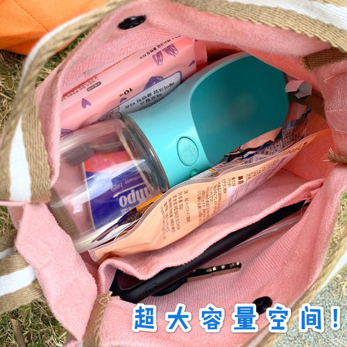 DT宠物 便携式外出遛狗包 手提袋水壶猫零食狗零食袋零钱背包