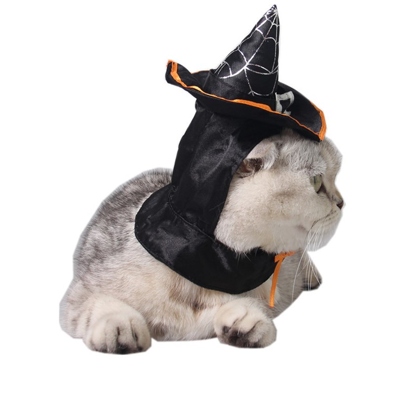 吉仔宠物用品狗狗帽批节日发装扮酷猫帽围脖泰迪魔法巫师猫咪帽子