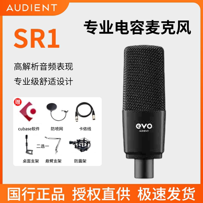 SR1专业大振膜电容麦克风