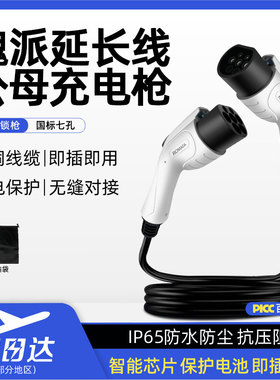 魏派蓝山/摩卡/拿铁DHT新能源车充电桩枪7kw延长线公母双头交流枪