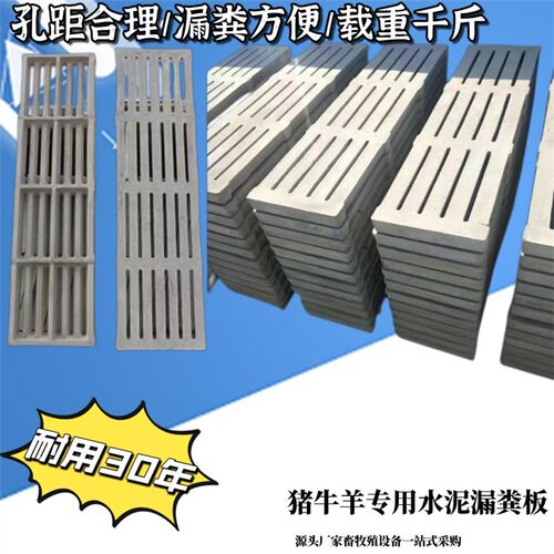 水泥漏粪板 猪牛羊用水泥漏粪地板 保育育肥猪用水泥漏粪板