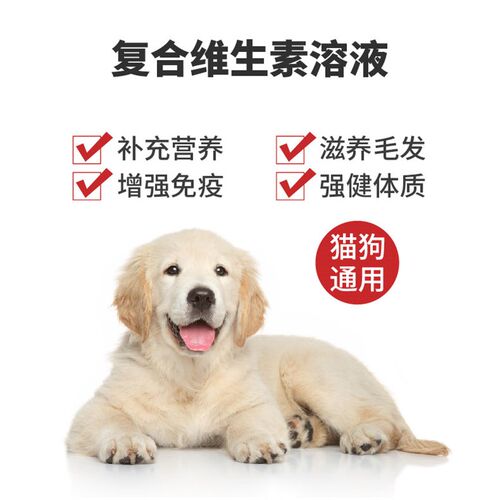香吉仕猫咪复合维生素溶液多种维生素b成幼猫狗狗用宠物营养补充