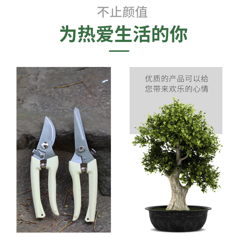 花剪园艺剪刀插花修枝剪省力修剪树枝果树竹签花卉专用花艺剪剪子图片