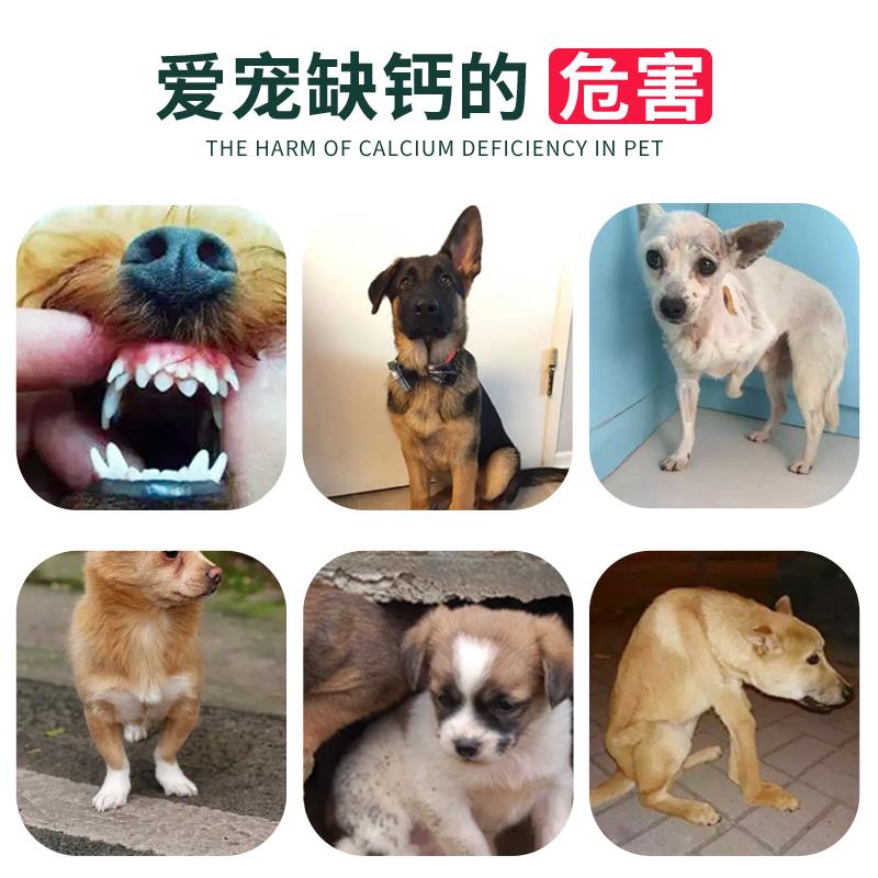 狗钙片比熊博美成犬幼犬健骨补钙立狗狗小型犬宠物专用狗补钙耳
