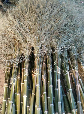 大扫帚扫马路家用庭院竹扫把包邮大小扫把塑料丝木把农村单个环卫