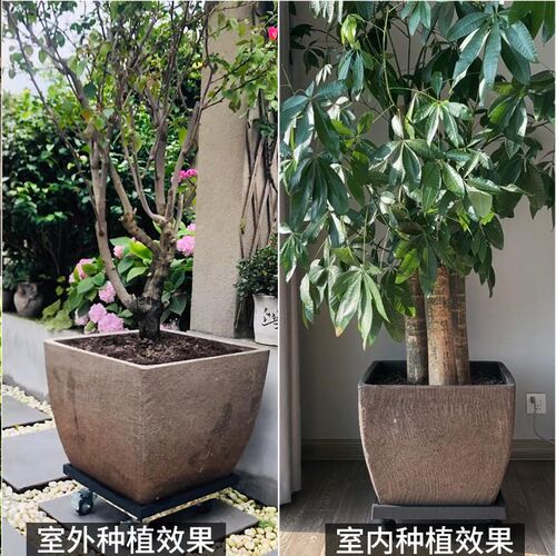 特大号无釉粗陶花盆紫砂加厚中式大口径透气复古养鱼缸荷花盆景盆